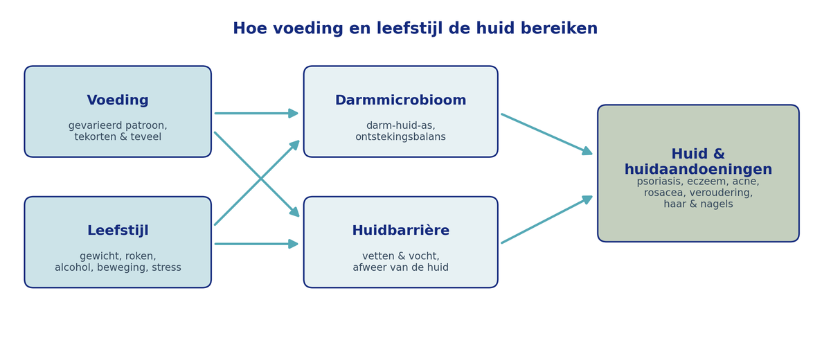 Macronutriënten en de huid