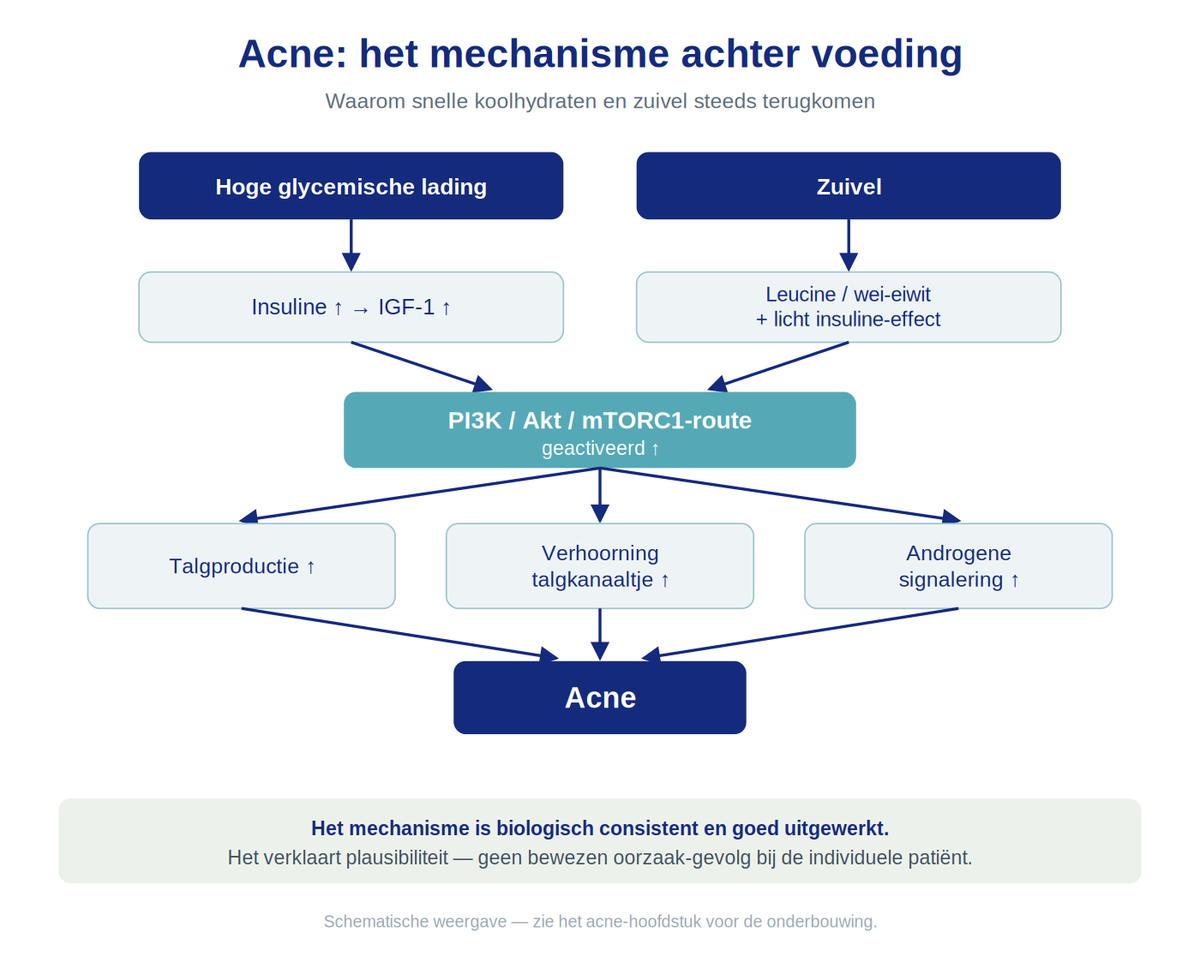 Schijf van Vijf 2026