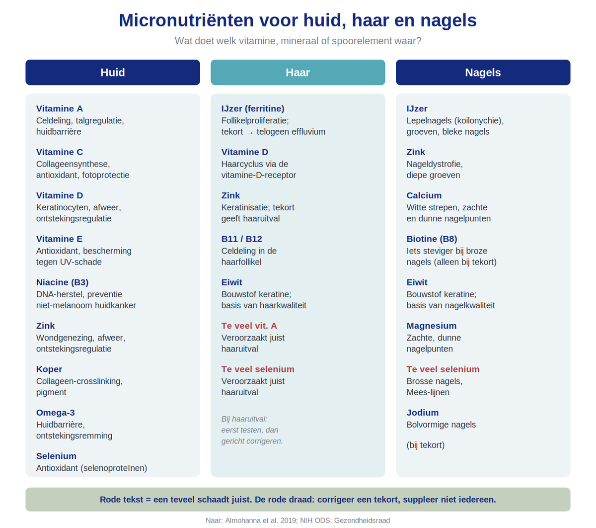 Het B-complex in één overzicht